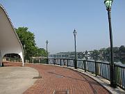 Augusta - Jul 2011 023